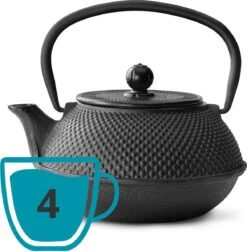 Bredemeijer - Theepot Jang 0,8L Gietijzer Zwart -Barbecue Benodigdheden 1174x1200