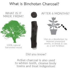 Black + Blum Binchotan Active Charcoal For Eau Good Water Bottles 4-pack -Barbecue Benodigdheden 1200x1200 122