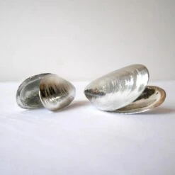 Het Zeeuws Mosselbestek -Barbecue Benodigdheden 1200x1200 1954