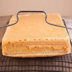 LOUZIR Professionele Taartsnijder - RVS - Taart Zaag - Cake Snijder -Barbecue Benodigdheden 1200x1200 2369