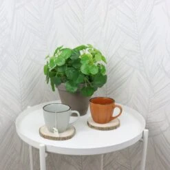 OTIX Koffiekopjes - Met Oor - Set Van 4 - Verschillende Kleuren - Aardewerk - 250 Ml 11 OTIX Koffiekopjes - Met Oor - Set Van 4 - Verschillende Kleuren - Aardewerk - 250 Ml -Barbecue Benodigdheden 1200x1200 677