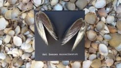 Het Zeeuws Mosselbestek -Barbecue Benodigdheden 1200x675 16