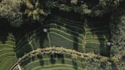 Sola Bestekset Bali - Modern - 9 Persoons - 90 Delig - Zilverwit Edelstaal 18/10 - RVS - Zilver -Barbecue Benodigdheden 1200x675 17