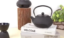 Bredemeijer - Theepot Jang 0,8L Gietijzer Zwart -Barbecue Benodigdheden 1200x719 5