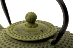 Bredemeijer - Theepot Xilin 1,25L Gietijzer Groen 13 Bredemeijer - Theepot Xilin 1,25L Gietijzer Groen -Barbecue Benodigdheden 1200x800 122