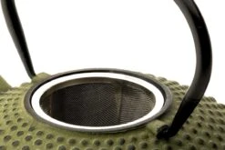 Bredemeijer - Theepot Xilin 1,25L Gietijzer Groen 15 Bredemeijer - Theepot Xilin 1,25L Gietijzer Groen -Barbecue Benodigdheden 1200x800 124