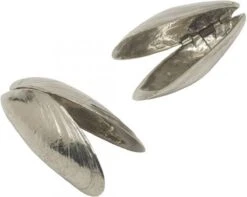 Het Zeeuws Mosselbestek -Barbecue Benodigdheden 1200x958 7