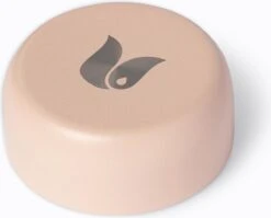 Retulp - Tumbler Thermosbeker – Champagne Pink – 300 Ml - Thermosfles - Roze -Barbecue Benodigdheden 1200x968 1