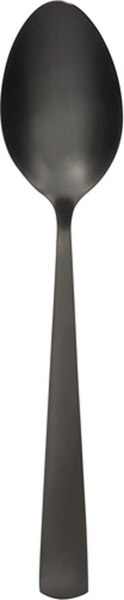 Swiss Pro+ Bestekset In Koffer-72 Delig-12 Persoons-Zwitsers Kwaliteit-Complete Set-100% Roestvrijstaal- Zwart -Barbecue Benodigdheden 248x1200