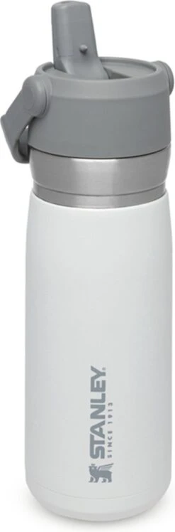 Stanley The IceFlow™ Flip Straw Water Bottle 0,65L - Thermosfles - Charcoal -Barbecue Benodigdheden 396x1200
