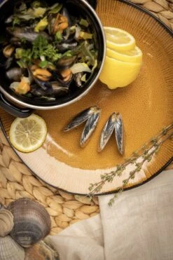 Het Zeeuws Mosselbestek -Barbecue Benodigdheden 799x1200 28