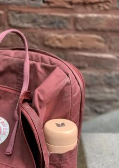 Retulp - Tumbler Thermosbeker – Champagne Pink – 300 Ml - Thermosfles - Roze -Barbecue Benodigdheden 856x1200