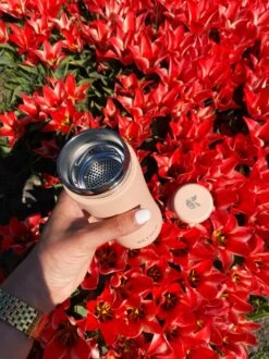 Retulp - Tumbler Thermosbeker – Champagne Pink – 300 Ml - Thermosfles - Roze -Barbecue Benodigdheden 899x1200 1